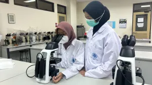 Riset Mahasiswa UGM Ungkap Potensi Kurkumin dan Kayu Manis Atasi Ketidakseimbangan Hormon Wanita